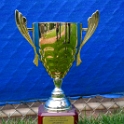 The Winner's Trophy